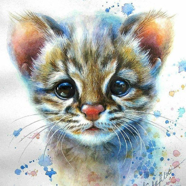 мордашка) - котенок - оригинал