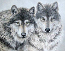 Волки