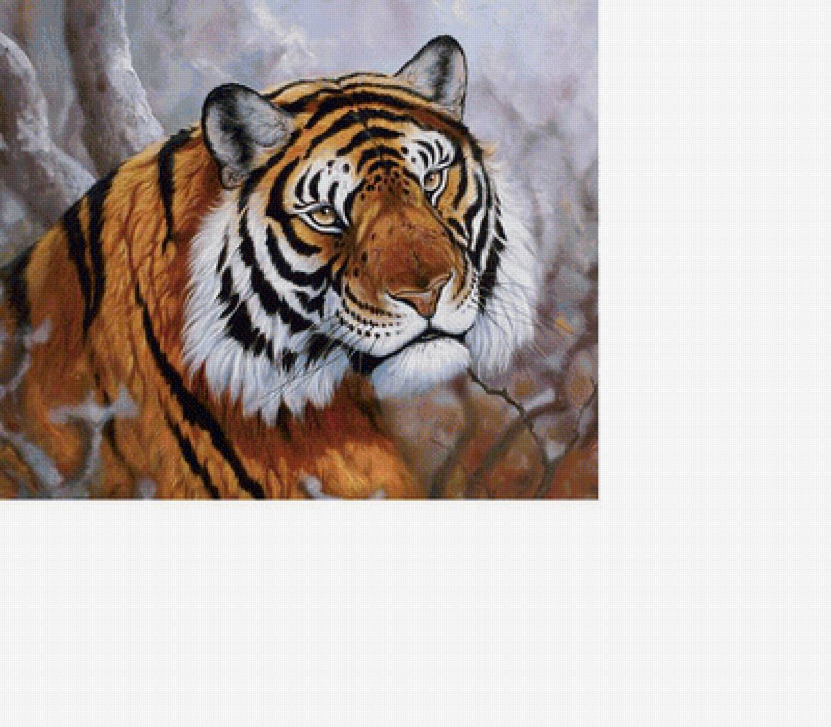 Тигр - звери, животные - предпросмотр