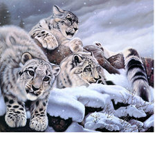 Схема вышивки «Снежные барсы»