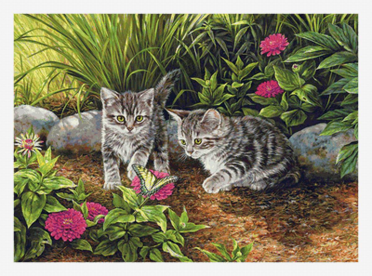 Серия "Коты". - животные, коты - предпросмотр