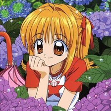 Схема вышивки «№1799291»