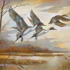 Схема вышивки «№1799403»