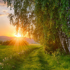 Схема вышивки «природа»