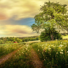 Схема вышивки «природа»