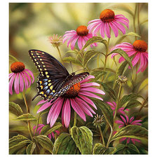 Схема вышивки «Серия "Бабочки".»