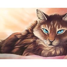 Схема вышивки «кот»