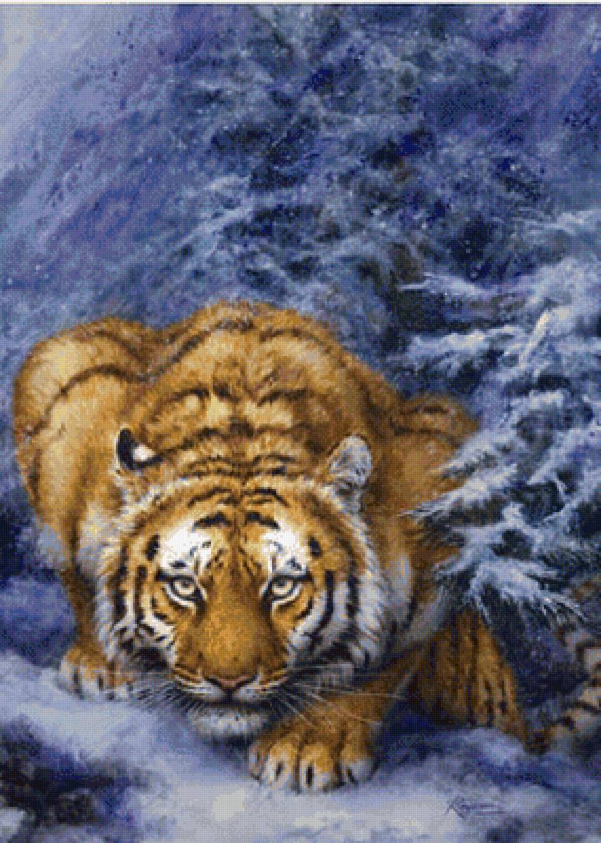 Тигр - тигр хищник - предпросмотр