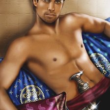 Схема вышивки «Султан»