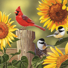 Схема вышивки «Серия "Птицы"»