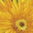 Предпросмотр схемы вышивки «Серия "Одуванчики"» (№1801110)