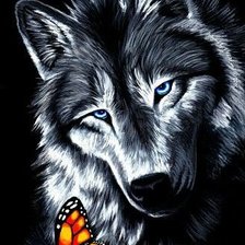 Схема вышивки «Волк и бабочка»