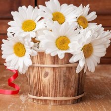 Схема вышивки «№1801532»