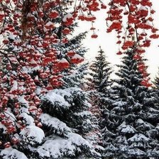 Схема вышивки «Зимний лес»