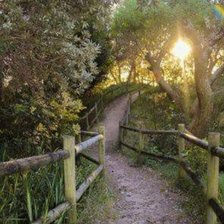 Схема вышивки «Живописный уголок»