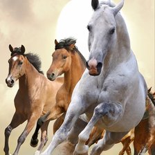 Схема вышивки «Резвый табун»