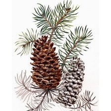 Схема вышивки «№1801879»