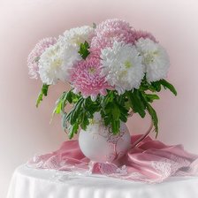 ХРИЗАНТЕМЫ