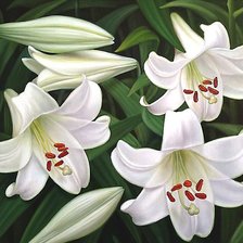 Схема вышивки «№1802599»