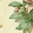 Предпросмотр схемы вышивки «цветы» (№1802914)