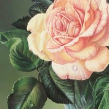 Схема вышивки «№1803388»