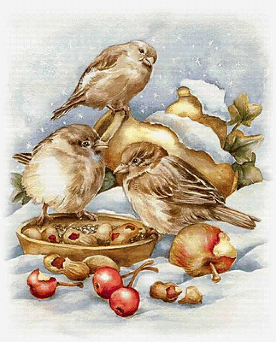 Воробушки - птицы, воробьи, зима - предпросмотр