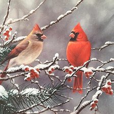 Схема вышивки «зима»