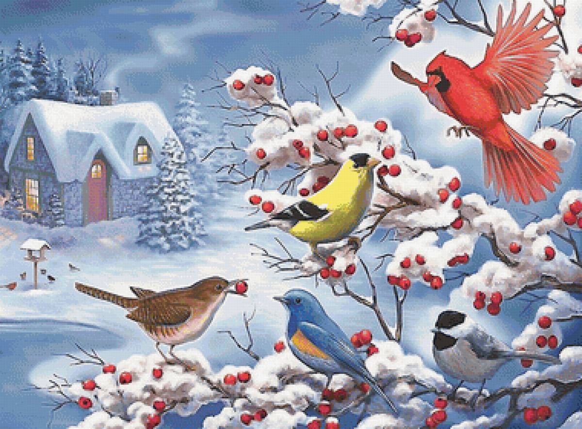 зима - зима, птицы - предпросмотр