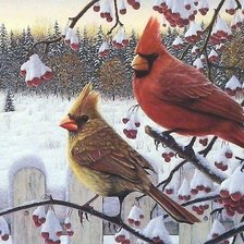 Схема вышивки «зима»