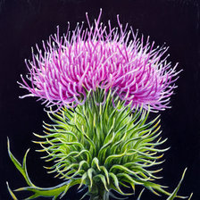 Схема вышивки «растение»