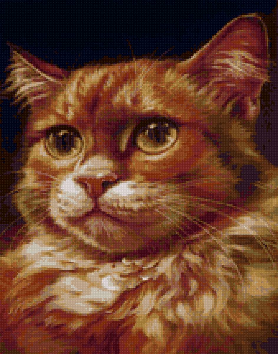 котик - кот - предпросмотр