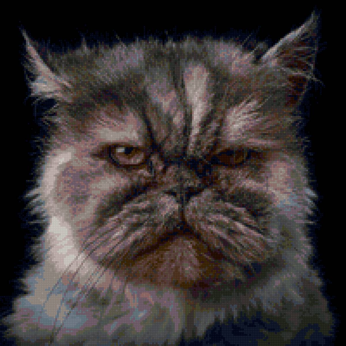 котик - кот - предпросмотр