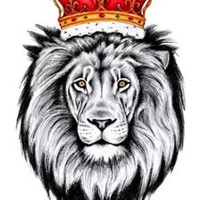 Царь природы