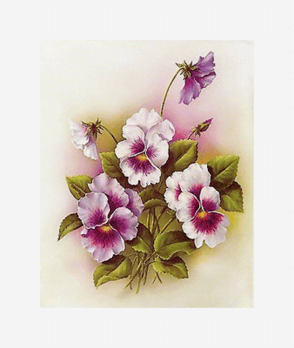 Серия "Анютины глазки" - анютки, флора, цветы - предпросмотр