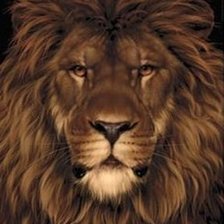 Схема вышивки «лев»