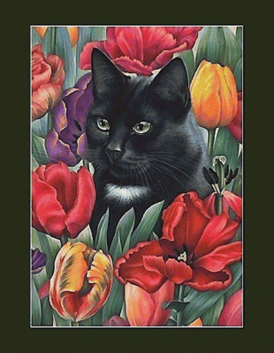 кот - кот - предпросмотр