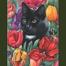 Схема вышивки «кот»