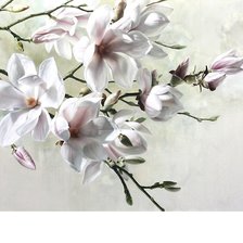 Схема вышивки «№1805100»