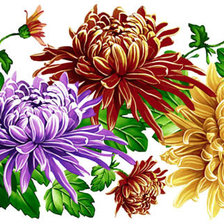 Схема вышивки «Астры»