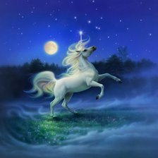 Единорог. Желание исполнится!