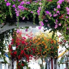 Схема вышивки «цвеneofz ekbwf»