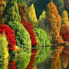 краски осени