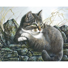 Схема вышивки «Серия "Коты".»