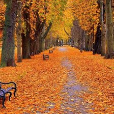 Схема вышивки «парк осенью»