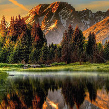 Схема вышивки «лес»