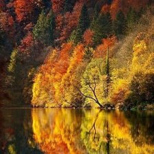 Схема вышивки «осень»