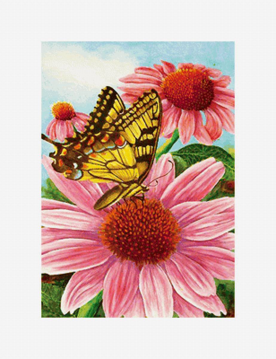 Серия "Бабочки". - бабочки, насекомые - предпросмотр