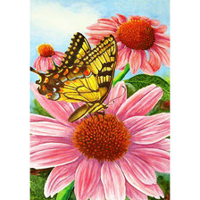 Схема вышивки «Серия "Бабочки".»