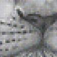 Предпросмотр схемы вышивки «рисунок» (№1806632)