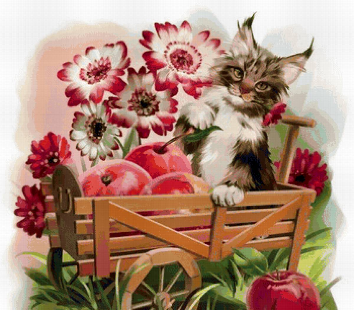 Забавы - кот, цветы, лето - предпросмотр